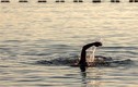 Người đào tẩu Triều Tiên bơi 6 tiếng xâm nhập lãnh thổ Hàn Quốc