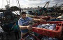 Cận cảnh cuộc sống ngư dân Gaza sau lệnh ngừng bắn Israel - Hamas