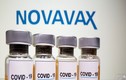Novavax phát triển vaccine chống biến chủng Omicron