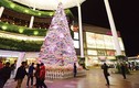 Trung tâm thương mại Hà Nội rực rỡ mùa Noel