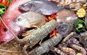 Cách “đánh bay” ấu trùng giun sán trong hải sản