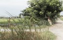 Bắt kẻ cướp của hiếp dâm U70 giữa cánh đồng