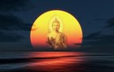 Lời Phật dạy về nhân quả 