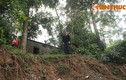 Hà Nội: Nhà, đất đai của dân bị sạt lở nghiêm trọng