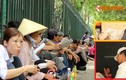Người dân vạ vật phơi nắng chờ khám bệnh ở Hà Nội