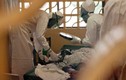 Cảnh báo số người nhiễm Ebola lên tới 1,4 triệu