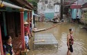 Ảnh: Hàng chục căn nhà ở xứ Thanh ngập sâu trong nước mưa