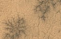 Hiện tượng địa chất kỳ lạ trên sao Hỏa lại gây xôn xao