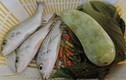 Khám phá bất ngờ về cá sạo "ngon đẳng cấp” ở Việt Nam