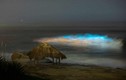 Hiện tượng kỳ lạ tại Mỹ giữa thời COVID-19: Sóng biển phát sáng trong đêm