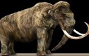 10 loài động vật tuyệt chủng chuyên gia khao khát muốn hồi sinh