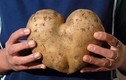 Video: 5 công dụng thần kỳ của khoai tây