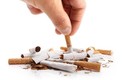 Giật mình 5 loại thuốc lá tưởng ít gây hại, ai ngờ cực độc