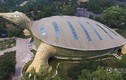 Tòa nhà hình con rùa độc đáo nhất từng thấy