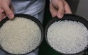 Tận mục gạo đắt nhất thế giới 2,5 triệu đồng/kg