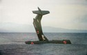 Thủy phi cơ US-2 Nhật Bản đâm đầu xuống biển