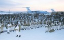 Ukraine bắt tay Đan Mạch kiềm chế Nga ở Bắc Cực