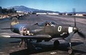 Máy bay P-39: "Kiệt tác" bị Mỹ khinh rẻ giúp gì cho Liên Xô? (P1)