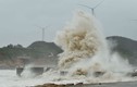 Siêu bão Soudelor tung hoành ở Trung Quốc, làm 8 người chết