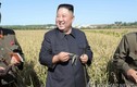 Ông Kim Jong Un hành động “lạ” sau đàm phán Mỹ-Triều đổ vỡ