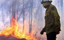 Cháy lớn làm 3 người chết, Australia ban bố tình trạng khẩn cấp