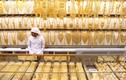 Lóa mắt tại khu chợ vàng ngập tràn ở Dubai