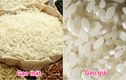Mẹo hay giúp phân biệt gạo giả, gạo nhựa đơn giản