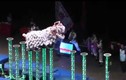 Video: Không thể không xem màn múa lân có hồn nhất thế giới
