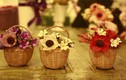 Video: Làm hoa khô trang trí nhà cực đẹp và đơn giản