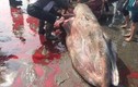 Sự thật vụ xẻ thịt cá voi đem bán gây phẫn nộ ở Nam Định