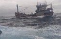 Tàu kiểm ngư cứu hộ kịp thời một tàu cá với 13 ngư dân Bình Định