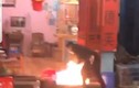 Nam thanh niên mang xăng đến đốt cháy quán nước ở Hà Nội