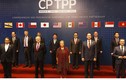 TPP-11 trước nhiệm vụ mới: 'Chiêu mộ' thêm thành viên