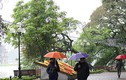 Dự báo thời tiết 1/11: Hà Nội mưa lạnh, Trung Bộ mưa lớn