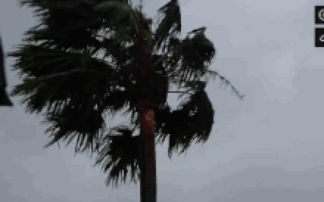 Video: Bình Định, Quảng Nam... trước giờ bão Molave đổ bộ