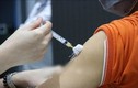Thông tin về trường hợp tử vong sau tiêm vaccine COVID-19 tại Đông Anh, Hà Nội