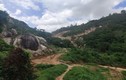 Khởi tố vụ án hơn 31.000m2 rừng bị “băm nát” tại Vũng Tàu