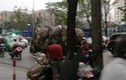Choáng với màn chở hàng cồng kềnh trên đường phố Việt