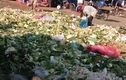 Kinh hoàng rau nhặt từ bãi rác bán tại chợ dành cho công nhân
