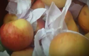 Video: Bí mật hoa quả tươi lâu hàng tháng trời