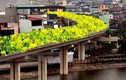 Ngán ngẩm dự án đường sắt trên cao, dân đề xuất trồng hoa cho đỡ lãng phí