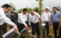 Thủ tướng xúc đất vun cây, hưởng ứng chương trình trồng 1 tỷ cây xanh