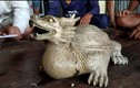 Tượng thú kỳ quái hình “long quy” ở biển Cà Mau bị tạm giữ