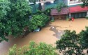 Hà Giang ngập lụt nặng, nhiều ô tô ngập nước, 2 mẹ con tử vong