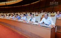 Quốc hội biểu quyết thông qua 5 dự luật quan trọng