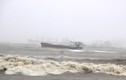 Thiệt hại “khủng khiếp” do bão Damrey: Các con số tăng chóng mặt