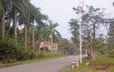 Xử lý kết luận thanh tra Dự án khu chung cư, biệt thự Quang Minh