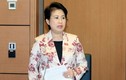Lật tẩy loạt sai phạm "khủng" của công ty chồng bà Phan Thị Mỹ Thanh