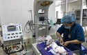 Đang điều tra làm rõ vụ thai phụ tử vong ngoài viện bất thường tại Quảng Ninh
