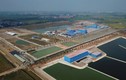 NMNM sông Đuống xài đường ống Xinxing Trung Quốc... sông Đà bị bắt hủy: Có gì lạ?